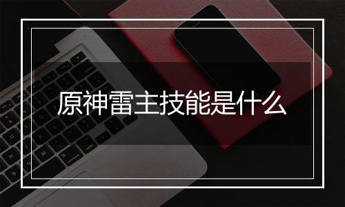 原神雷主技能是什么
