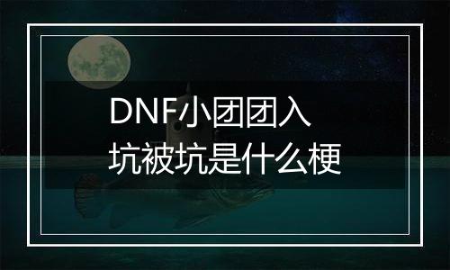 DNF小团团入坑被坑是什么梗