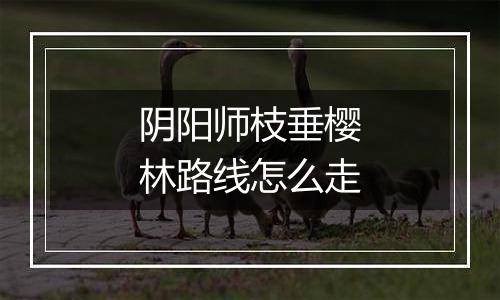 阴阳师枝垂樱林路线怎么走