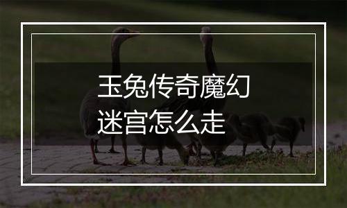 玉兔传奇魔幻迷宫怎么走