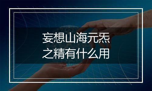 妄想山海元炁之精有什么用
