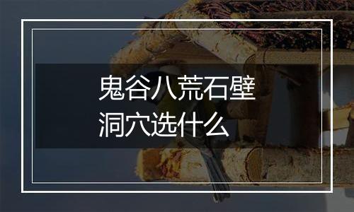 鬼谷八荒石壁洞穴选什么
