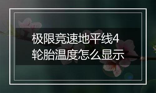 极限竞速地平线4轮胎温度怎么显示
