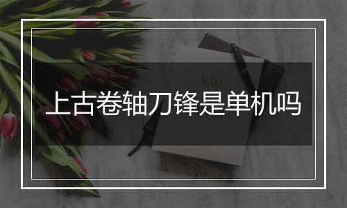 上古卷轴刀锋是单机吗