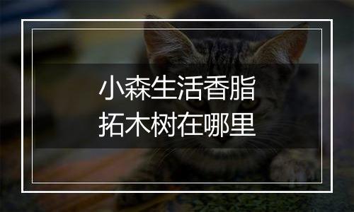 小森生活香脂拓木树在哪里