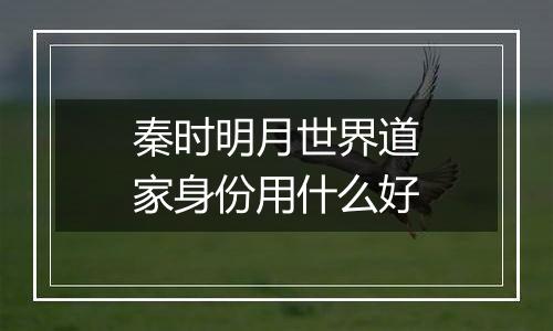 秦时明月世界道家身份用什么好