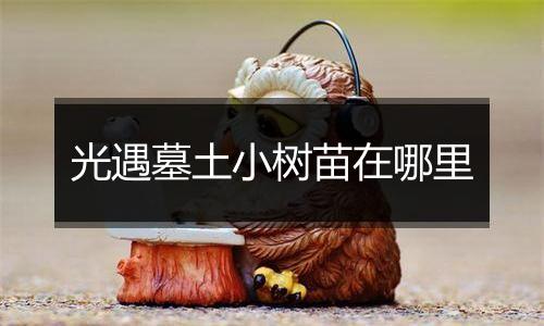 光遇墓土小树苗在哪里