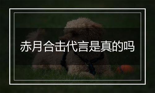 赤月合击代言是真的吗