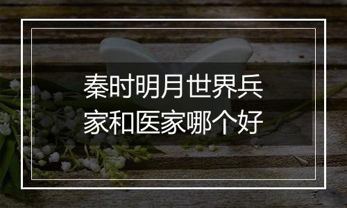 秦时明月世界兵家和医家哪个好