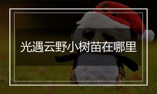 光遇云野小树苗在哪里