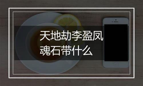 天地劫李盈凤魂石带什么