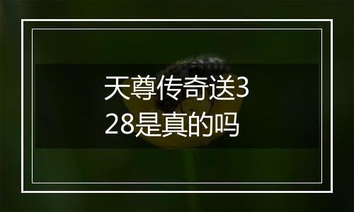 天尊传奇送328是真的吗