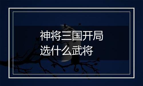 神将三国开局选什么武将