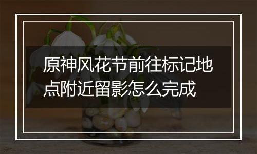 原神风花节前往标记地点附近留影怎么完成