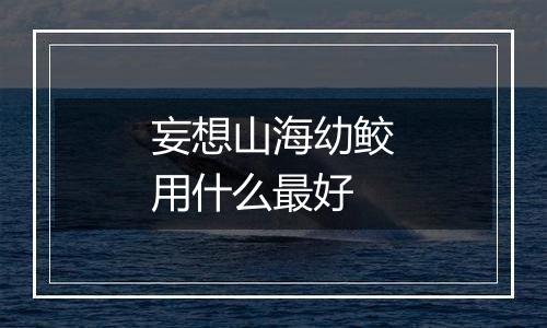 妄想山海幼鲛用什么最好