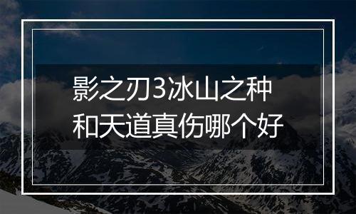 影之刃3冰山之种和天道真伤哪个好
