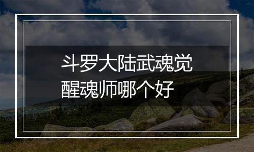 斗罗大陆武魂觉醒魂师哪个好