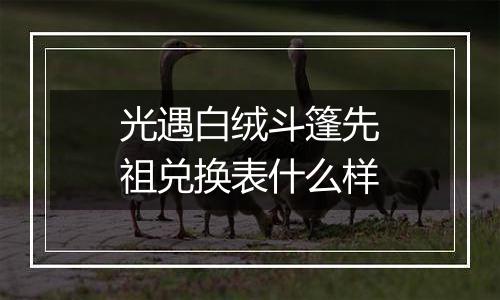 光遇白绒斗篷先祖兑换表什么样