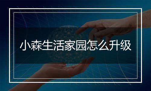 小森生活家园怎么升级