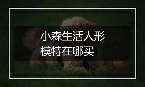 小森生活人形模特在哪买