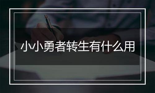 小小勇者转生有什么用