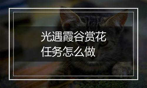 光遇霞谷赏花任务怎么做