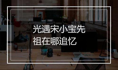 光遇宋小宝先祖在哪追忆