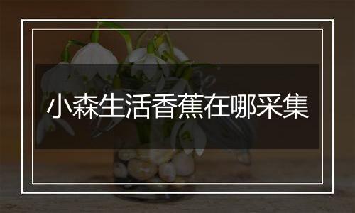 小森生活香蕉在哪采集