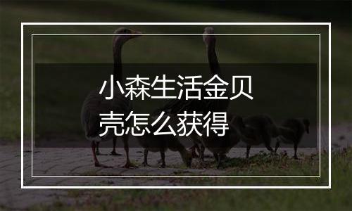 小森生活金贝壳怎么获得