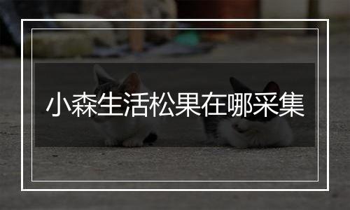 小森生活松果在哪采集