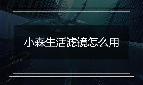 小森生活滤镜怎么用