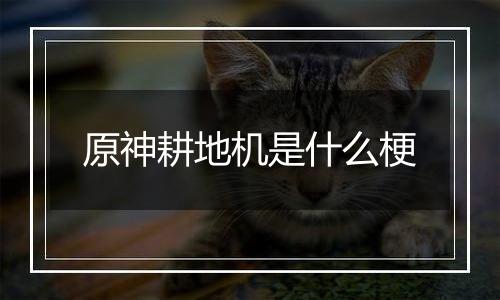 原神耕地机是什么梗