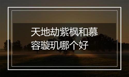 天地劫紫枫和慕容璇玑哪个好