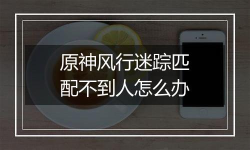 原神风行迷踪匹配不到人怎么办