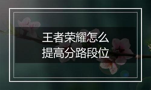 王者荣耀怎么提高分路段位