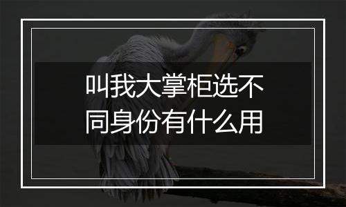 叫我大掌柜选不同身份有什么用