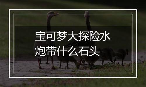 宝可梦大探险水炮带什么石头