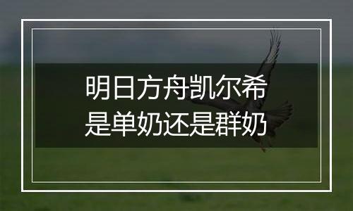 明日方舟凯尔希是单奶还是群奶