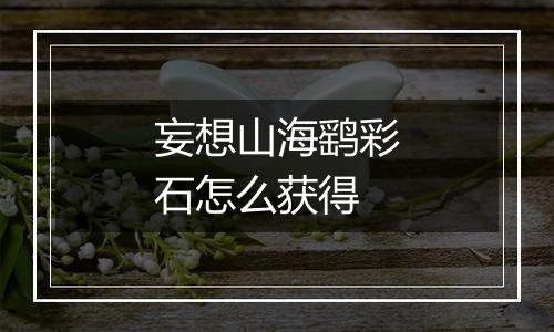 妄想山海鹞彩石怎么获得