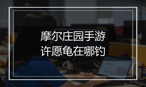 摩尔庄园手游许愿龟在哪钓