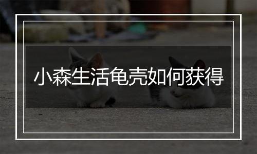 小森生活龟壳如何获得