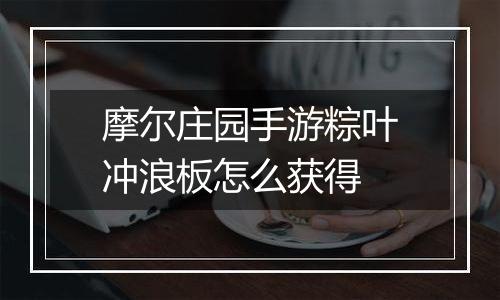 摩尔庄园手游粽叶冲浪板怎么获得