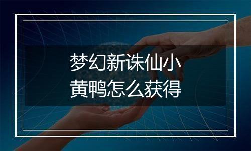 梦幻新诛仙小黄鸭怎么获得