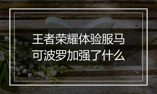 王者荣耀体验服马可波罗加强了什么