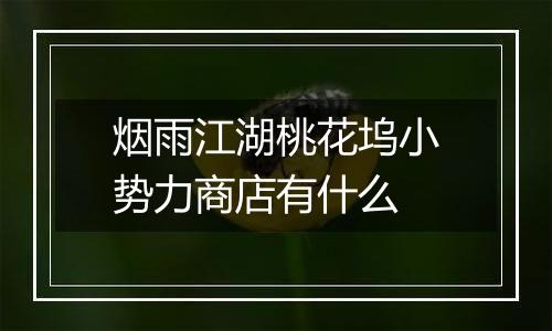 烟雨江湖桃花坞小势力商店有什么