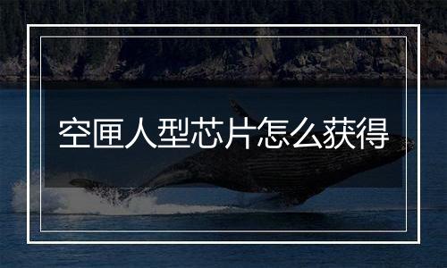 空匣人型芯片怎么获得