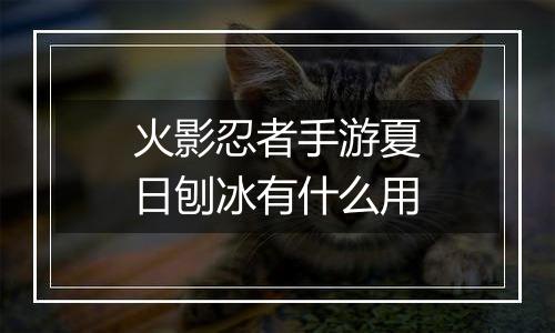 火影忍者手游夏日刨冰有什么用