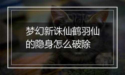 梦幻新诛仙鹤羽仙的隐身怎么破除