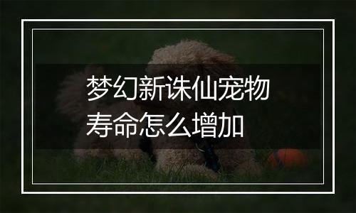 梦幻新诛仙宠物寿命怎么增加