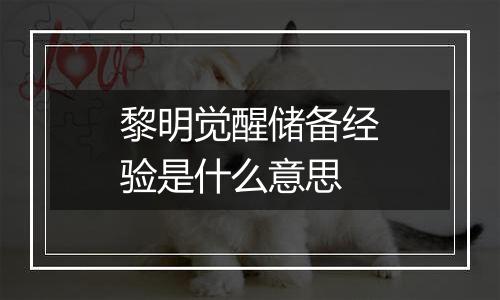 黎明觉醒储备经验是什么意思
